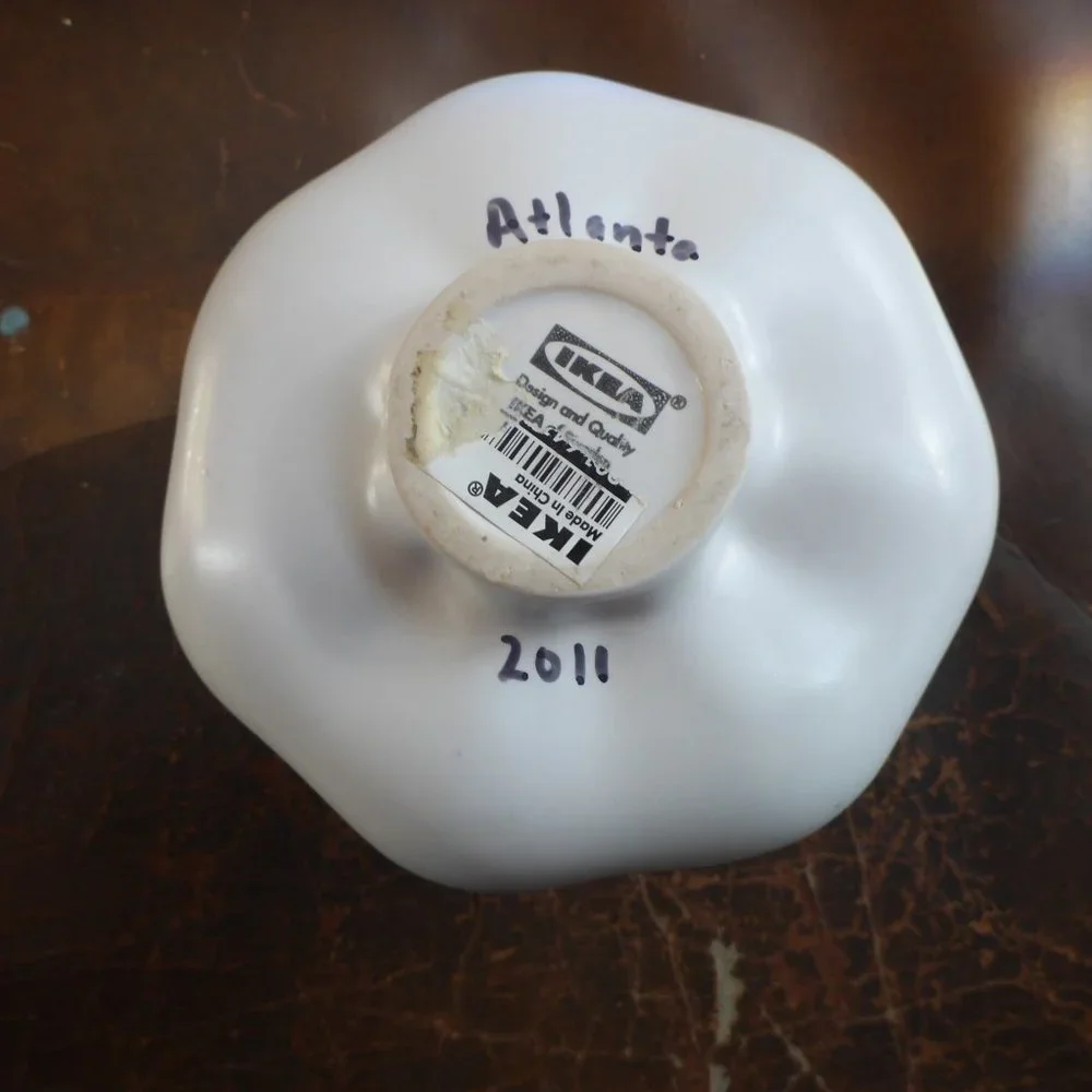 Small Uniuely Shaped Ikea Vase